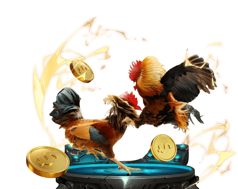 Ứng dụng di động MLV88 cho đá gà