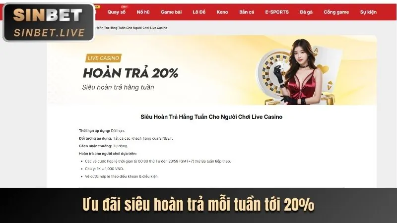 Hoàn trả hàng tuần MLV88